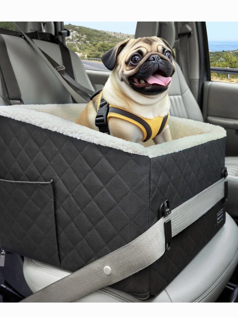 Petsfit Medium Dog Car Booster Seat, Black